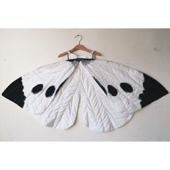 Reference wings from For Just One Day (2019)